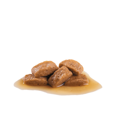 Royal Canin Maxi Adult – Hrană Umedă în Sos pentru Câini Adulți de Talie Mare – 140 g